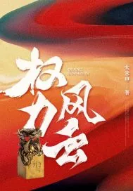 《权力风云》小说封面