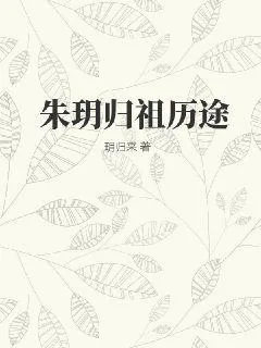 《朱玥归祖历途》小说封面