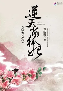 《帝君你家萌妃又咬人了》小说封面