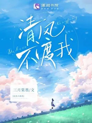《清风不渡我》小说封面