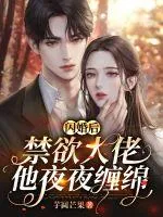 《闪婚后禁欲大佬他日夜难缠》小说封面