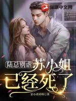 《陆总别虐,苏小姐已经死了》小说封面
