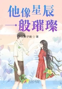 《他像星辰一般璀璨》小说封面