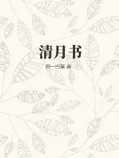 《清月书》小说封面