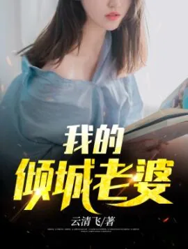 《我的倾城老婆》小说封面