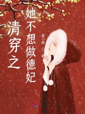 《清穿之她不想做德妃》小说封面