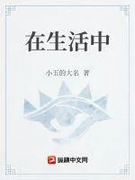 《在生活中》小说封面