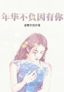 《年华不负因有你》小说封面