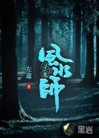 《寻龙风水师》小说封面