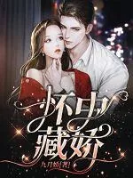 《怀中藏娇》小说封面