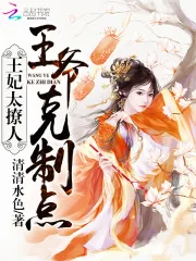 《王妃太撩人：王爷，克制点》小说封面