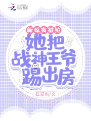 《新婚夜被抢!她把战神王爷踢出房》小说封面
