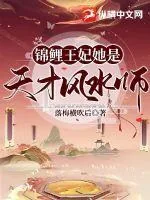 《锦鲤王妃她是天才风水师》小说封面
