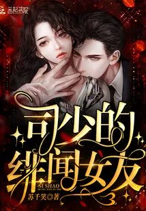 《司少的绯闻女友》小说封面