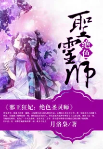 《第一轻狂圣灵师》小说封面