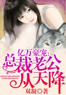 《风起时说我爱你》小说封面