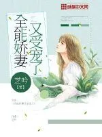 《全能娇妻又受宠了》小说封面