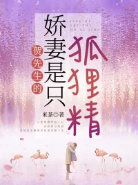 《贺先生的娇妻是只狐狸精》小说封面