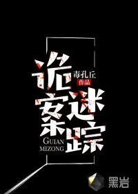 《诡案迷踪》小说封面