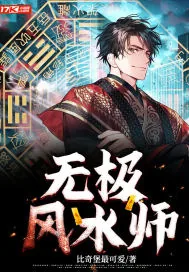 《无极风水师》小说封面