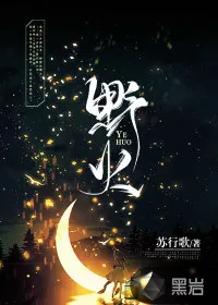 《野火》小说封面