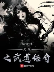 《无限之武道传奇》小说封面