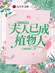 《追妻难缠：夫人已成植物人》小说封面