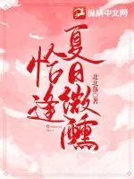 《恰逢夏日微醺》小说封面
