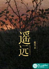 《遥远》小说封面