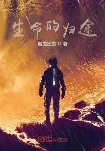 《生命的归途》小说封面