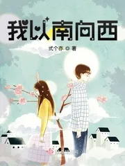 《我以南向西》小说封面