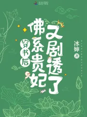《穿书后，佛系贵妃又剧透了》小说封面