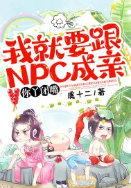 《我就要跟NPC成亲,你丫闭嘴!》小说封面