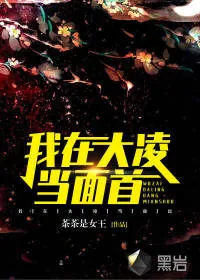 《我在大凌当面首》小说封面