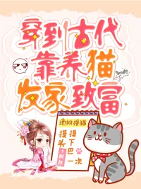 《穿到古代靠养猫发家致富》小说封面