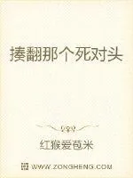 《揍翻那个死对头》小说封面