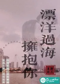 《漂洋过海拥抱你》小说封面