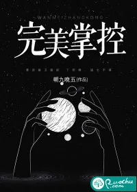 《完美掌控》小说封面