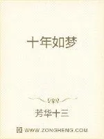 《十年如梦》小说封面