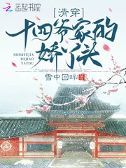《清穿十四爷家的娇丫头》小说封面