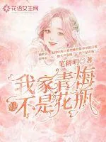 《我家青梅她不是花瓶》小说封面