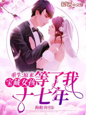 《重生：原来宝藏女孩等了我十七年》小说封面