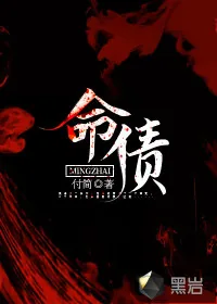 《命债》小说封面