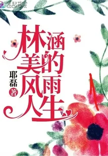 《林涵美的风雨人生》小说封面