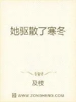 《她驱散了寒冬》小说封面