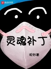 《灵魂补丁》小说封面