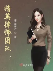《精英律师团队》小说封面