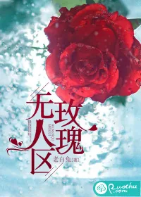 《无人区玫瑰》小说封面