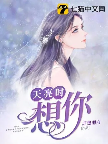 《天亮时想你》小说封面