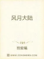 《风月大陆》小说封面